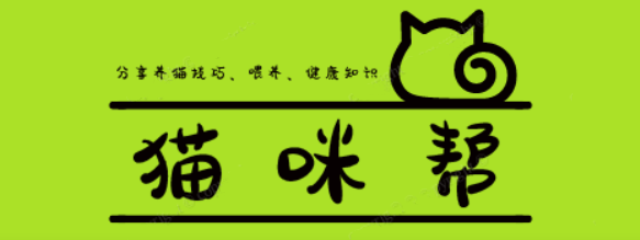 猫咪帮:分享养猫技巧、喂养、健康知识