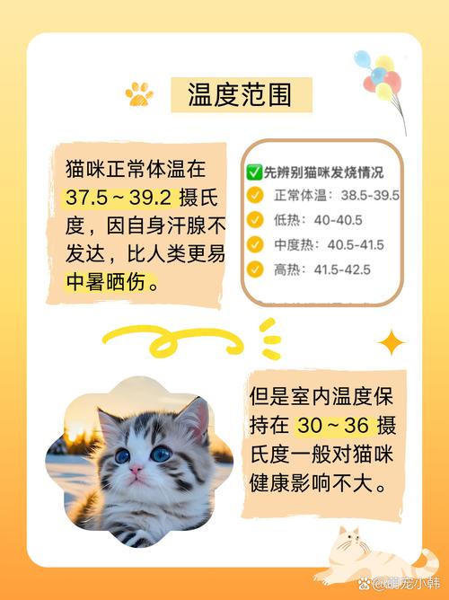 小猫适宜环境的温度设置