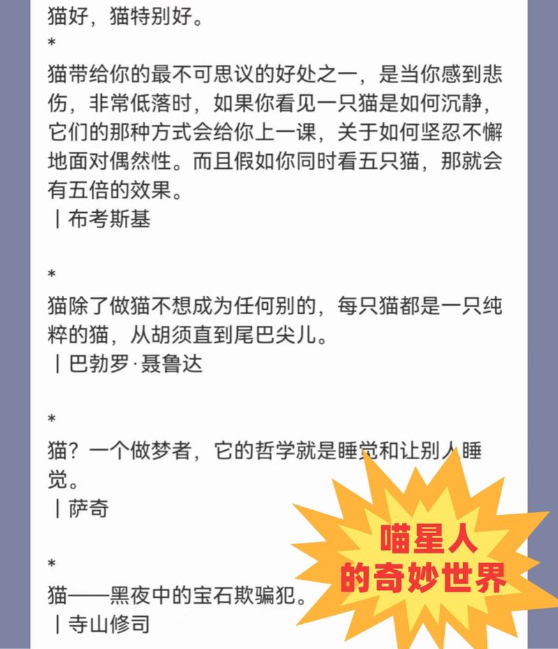 猫咪的奇妙世界：解锁喵星人的特征与习性之谜