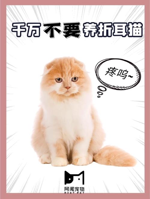 折耳猫为什么不能养一定会发病吗？