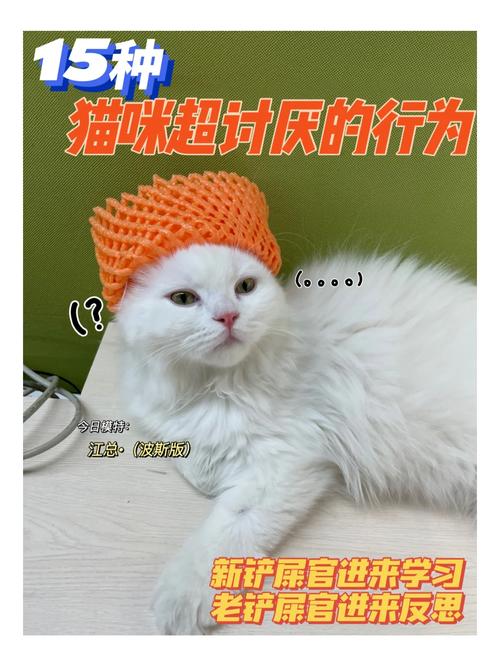 猫咪讨厌你的7大信号，你能读懂它们的心吗？