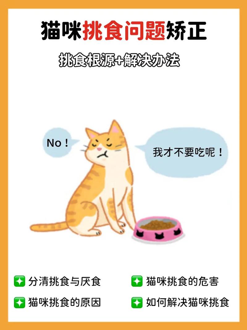 如何判断猫咪是否真的挑食？