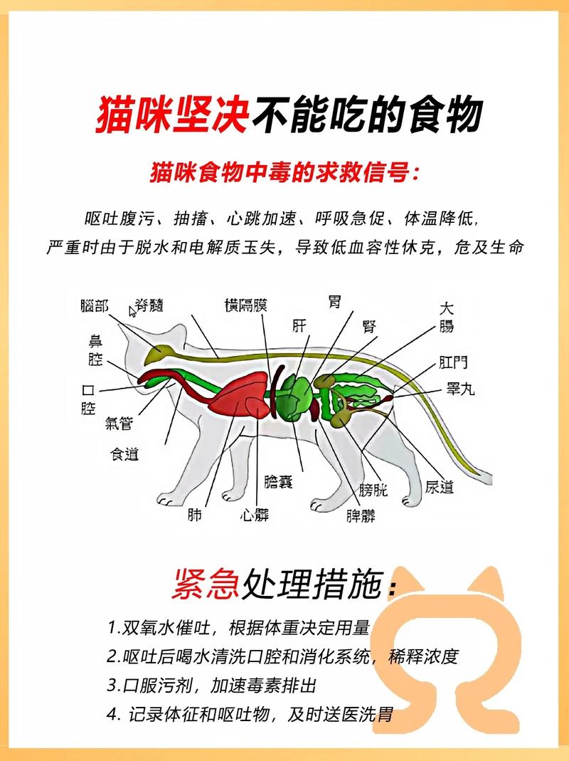 猫咪不喜欢吃蔬菜？别担心，这里有妙招！