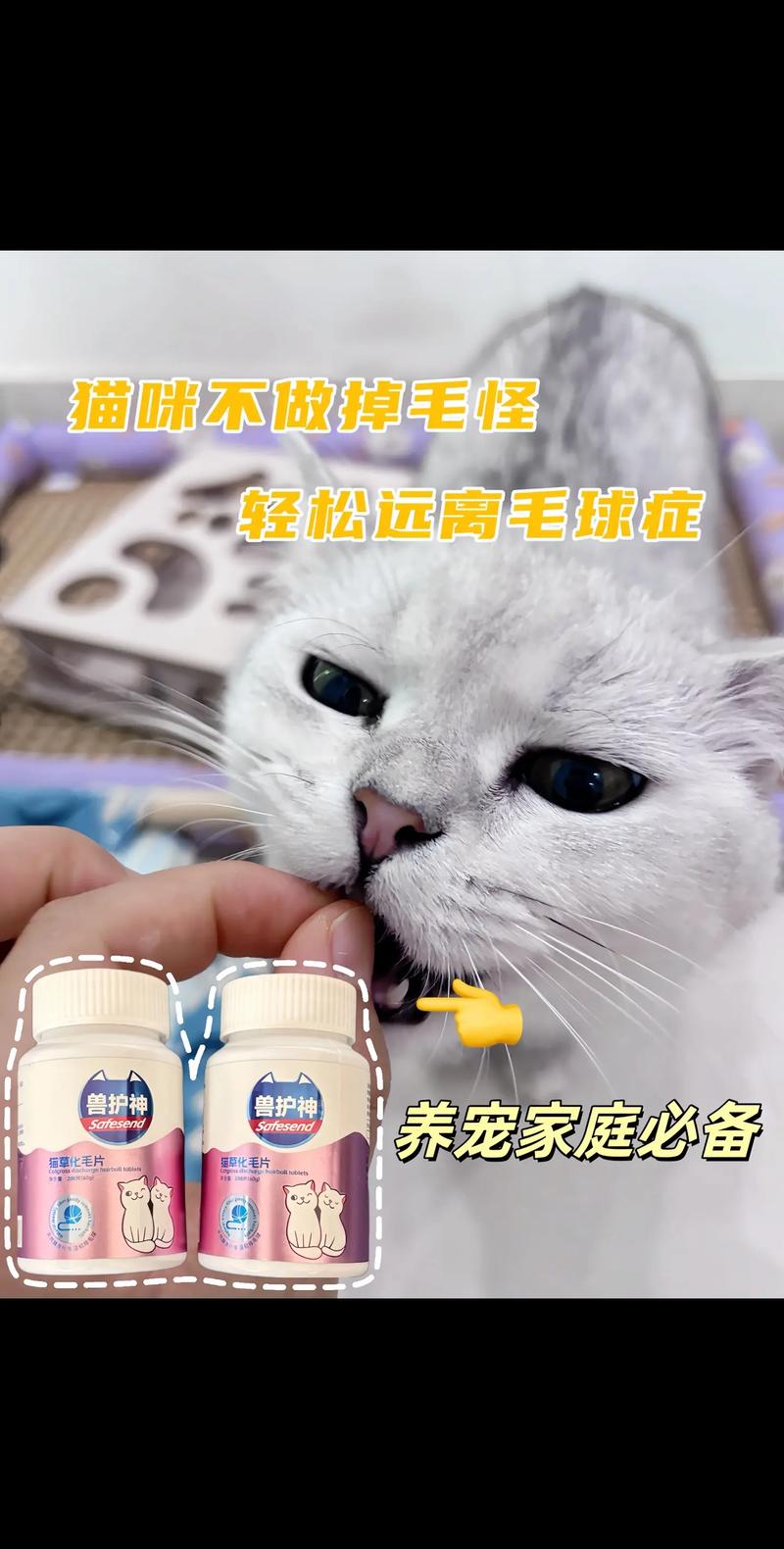 铲屎官必知：千万别当着猫的面铲屎！