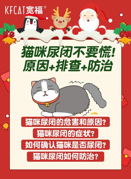 猫咪尿闭危机：5000+手术费or保守治疗？一文读懂！