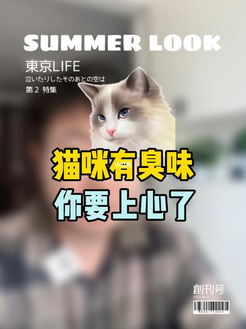 猫咪突然散发异味，五种常见原因与排查方法