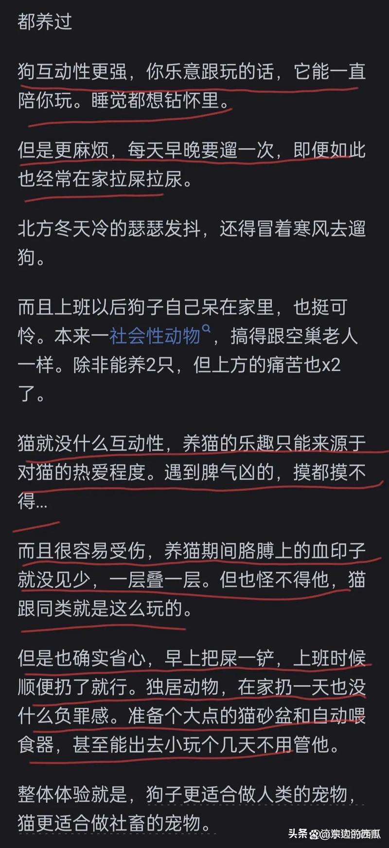 感觉狗的风评渐渐不如猫了，为什么？