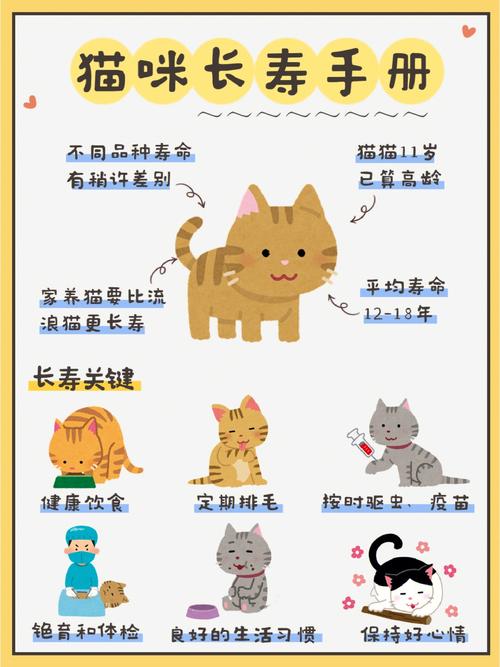 猫咪的陪伴与抑郁患者的康复，一种自然疗法吗？