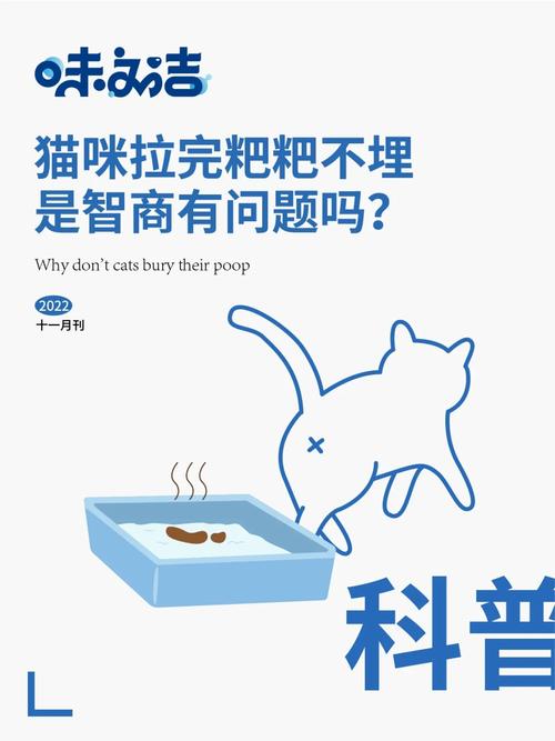 如何有效管理猫咪的排泄问题