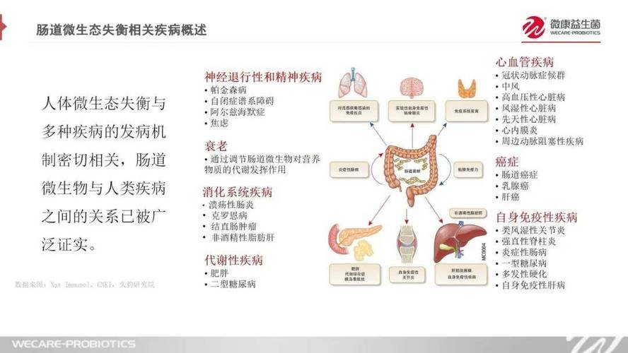 猫科动物的肠道疾病，如何正确识别和治疗