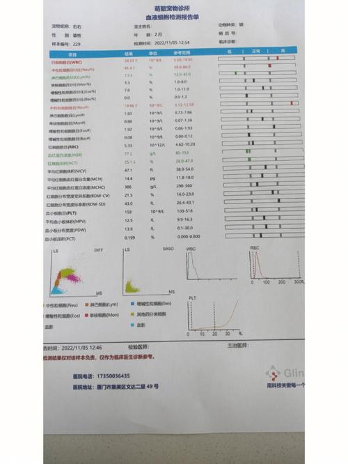 猫咪肝功能测试报告，全面体检，健康守护