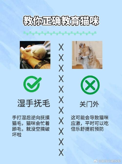 让猫咪更好地适应生活，有效应对猫咪应激反应的方法