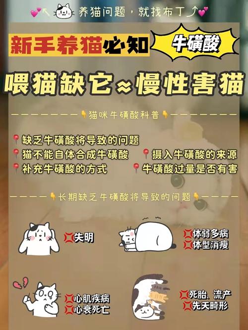 猫的牛磺酸，健康与快乐的秘密武器