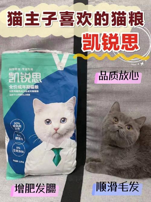 猫粮选择，科学与健康的生活方式