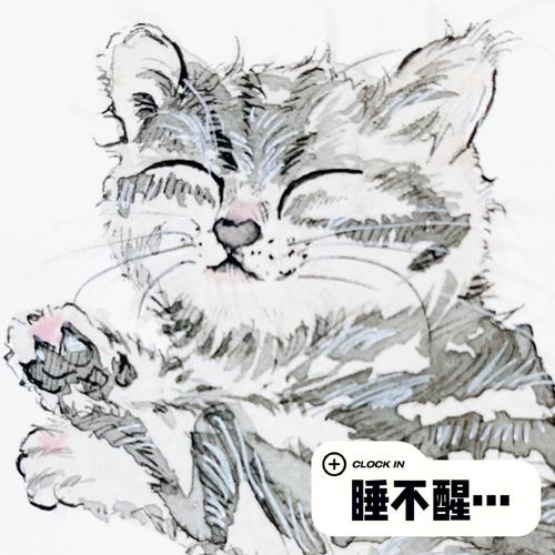 猫猫，睡眠中的音乐大师