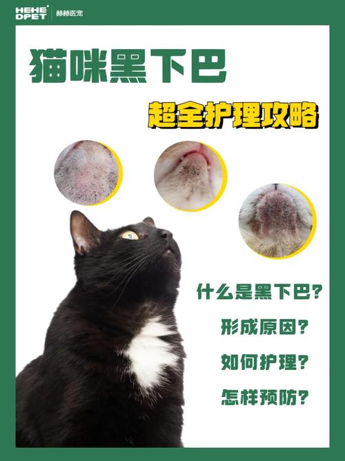 猫咪下巴长黑痘的护理小妙招