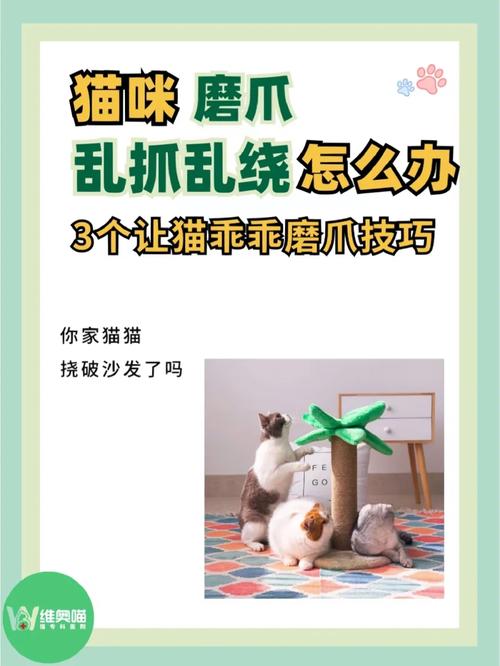 揭秘猫咪掉毛的秘密，如何让它们不再乱抓乱挠