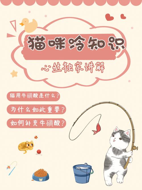 猫之牛磺酸，健康守护者