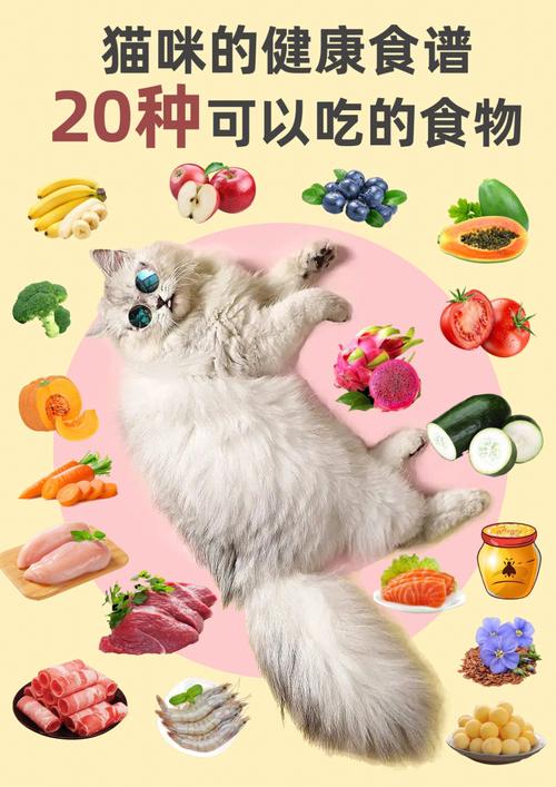 猫咪如何安全地插入食物