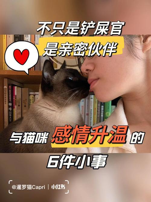 猫的独处，为何我们总爱忽略它们？