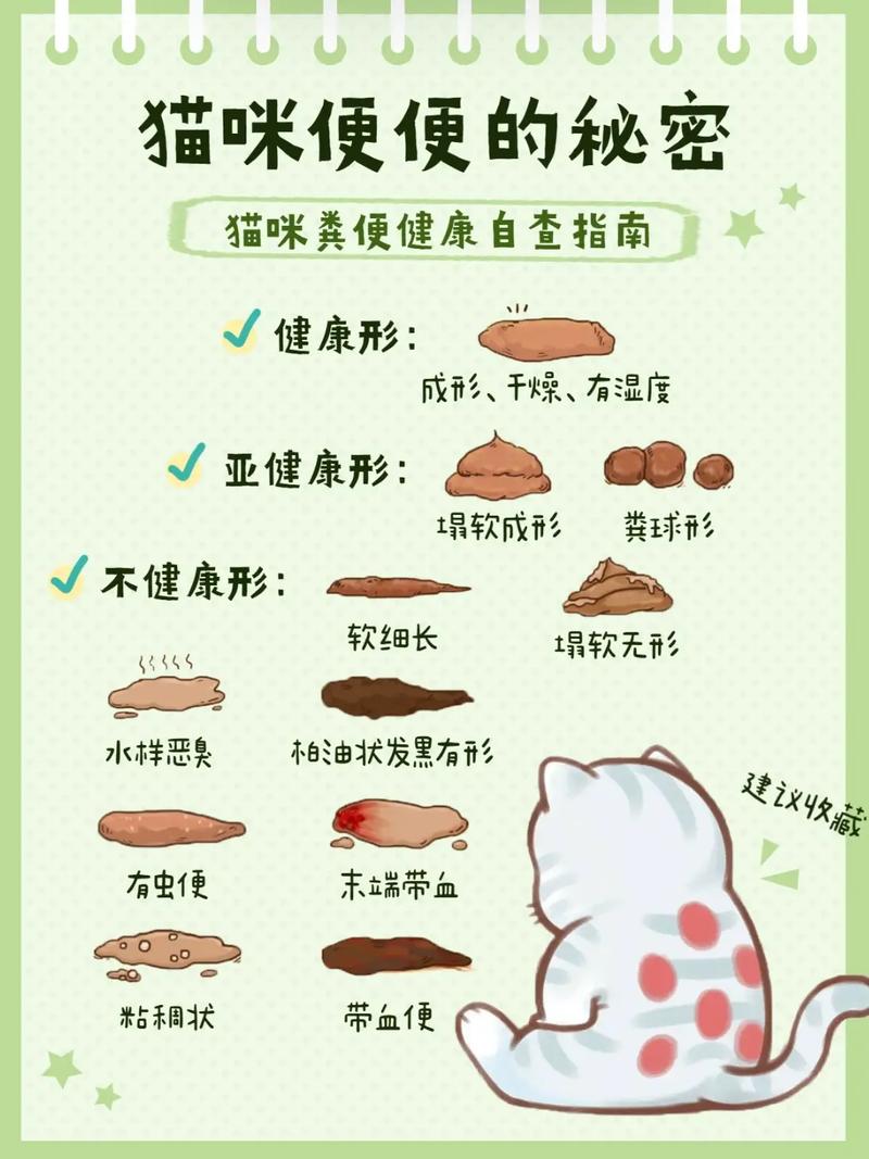 猫猫粪便，健康饮食与美丽外表的秘密