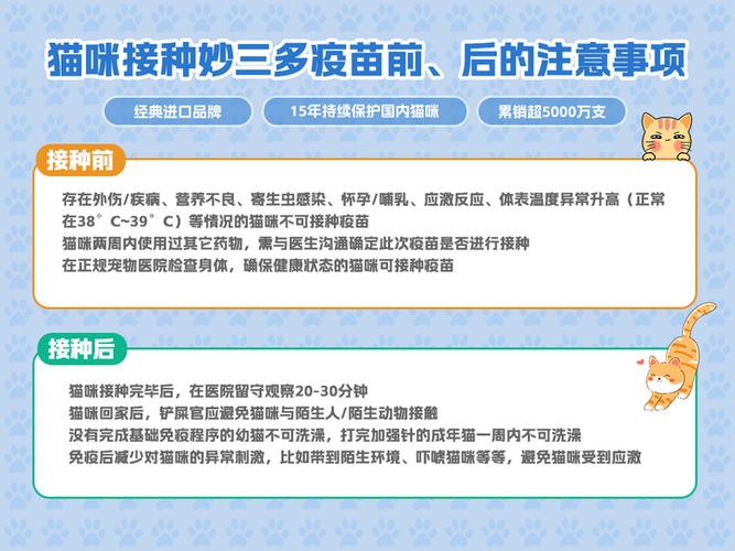 猫咪疫苗接种指南猫咪多大要打针？正确疫苗接种是猫健康的重要保障