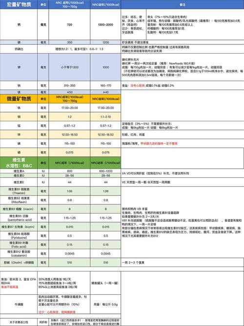 猫咪的营养需求，全面解析