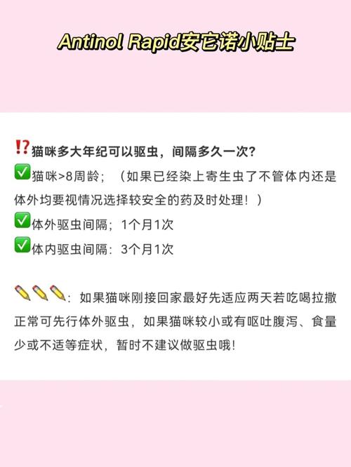 猫咪驱虫后拉稀，应对小问题的正确方法