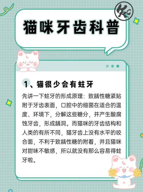 萌宠小百科，揭秘年轻猫咪的牙齿奥秘