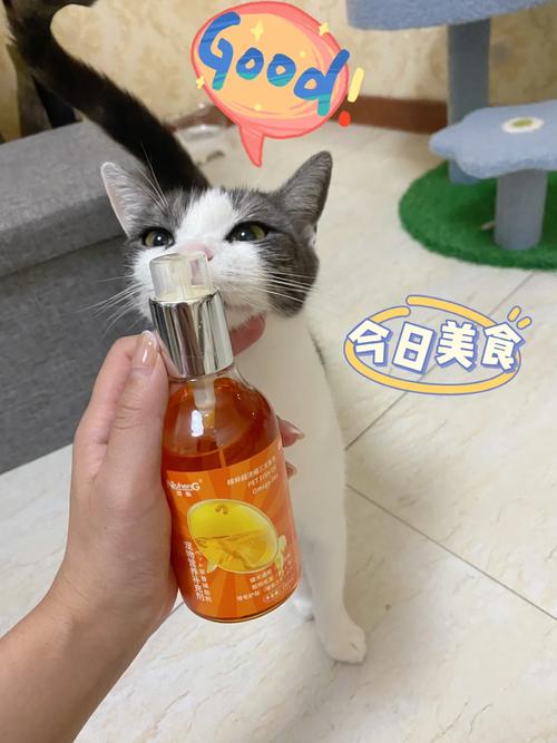 猫毛护理，让它们的美丽更加健康