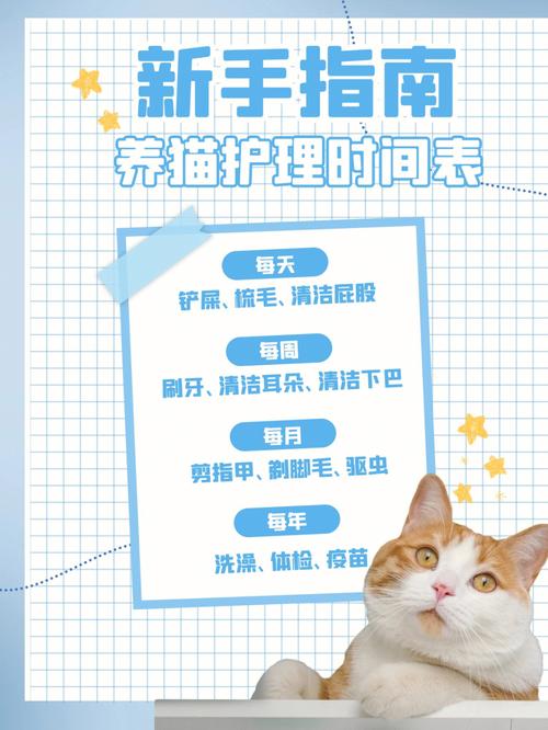 美味的猫咪护理，如何让您的小猫在清洁中享受快乐