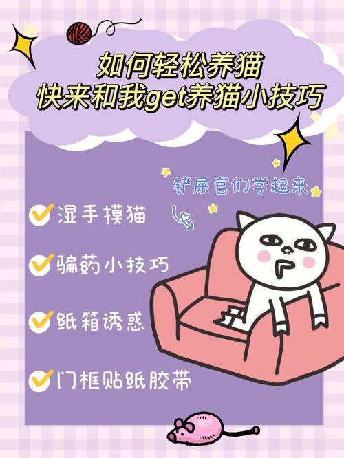 让猫咪轻松学会坐——简单而有效的训练方法