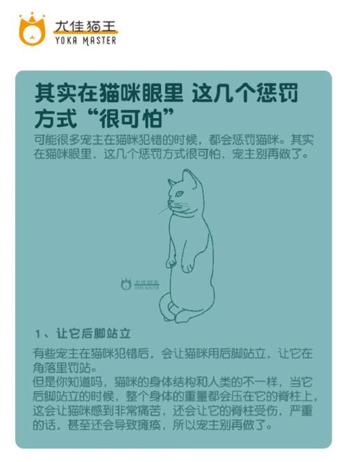 猫咪犯错主人惩罚，爱的教育与理解