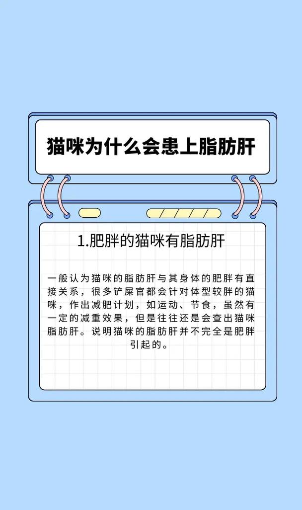 猫咪肝脏疾病的真相，饮食调整与健康维护