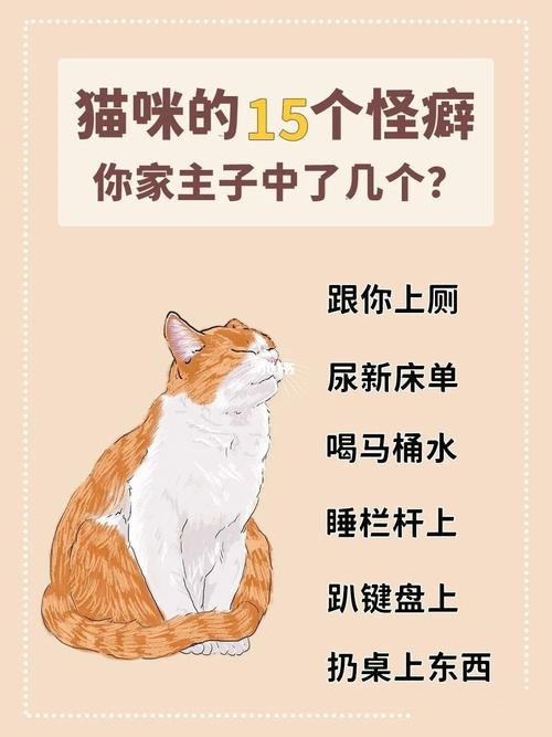 揭秘猫咪为何不来月经