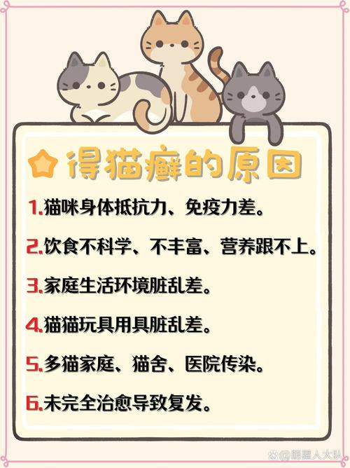 守护猫咪的健康，有效预防猫咪癣的方法