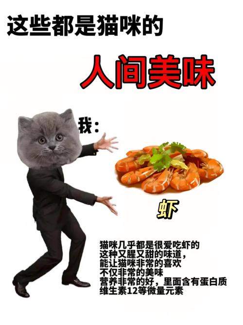 猫咪的美食世界，肉与爱的交织