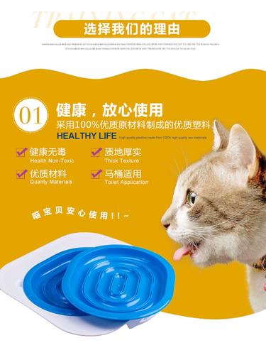 揭秘猫咪的清洁小秘诀，自制猫咪如厕器