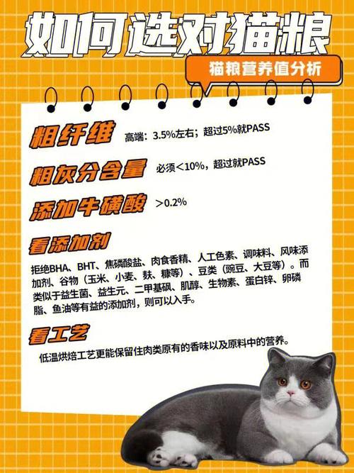 揭秘猫咪的呼吸秘密，如何科学测量