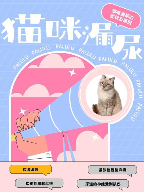 猫咪尿失禁的真相，揭秘猫尿不自主的秘密