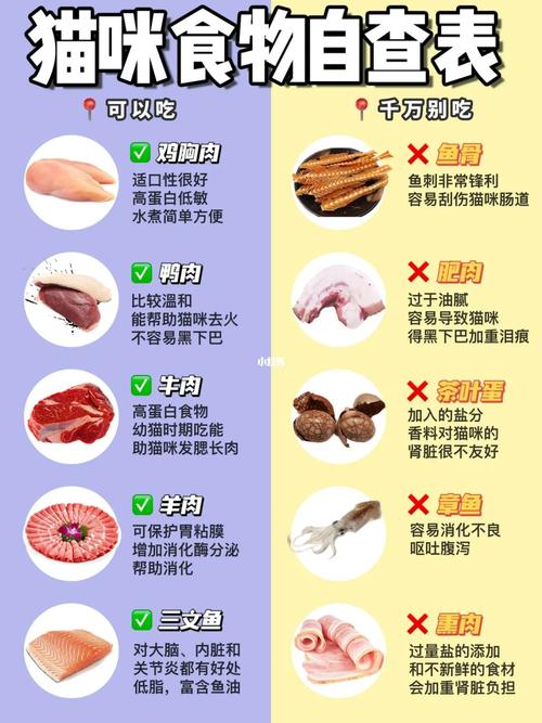 猫咪的饮食保健与最佳喂养方式