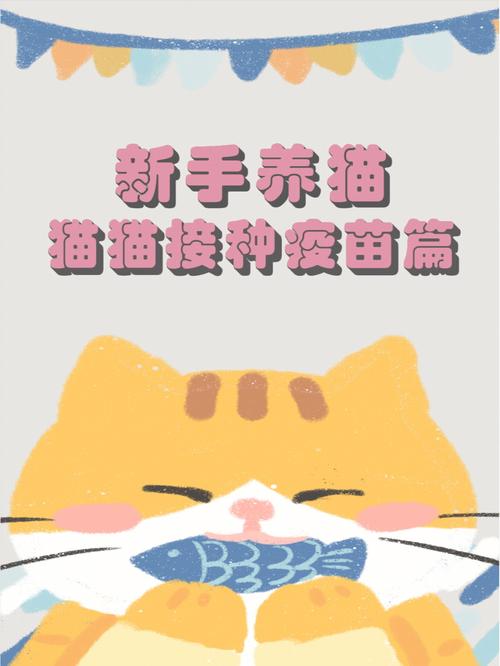 宠物健康，猫咪接种疫苗的重要性