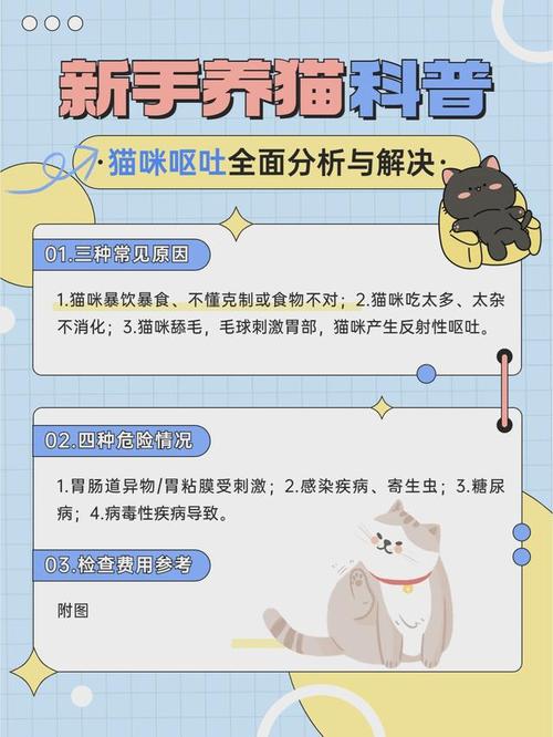 猫咪拒绝进食和呕吐的解决方法