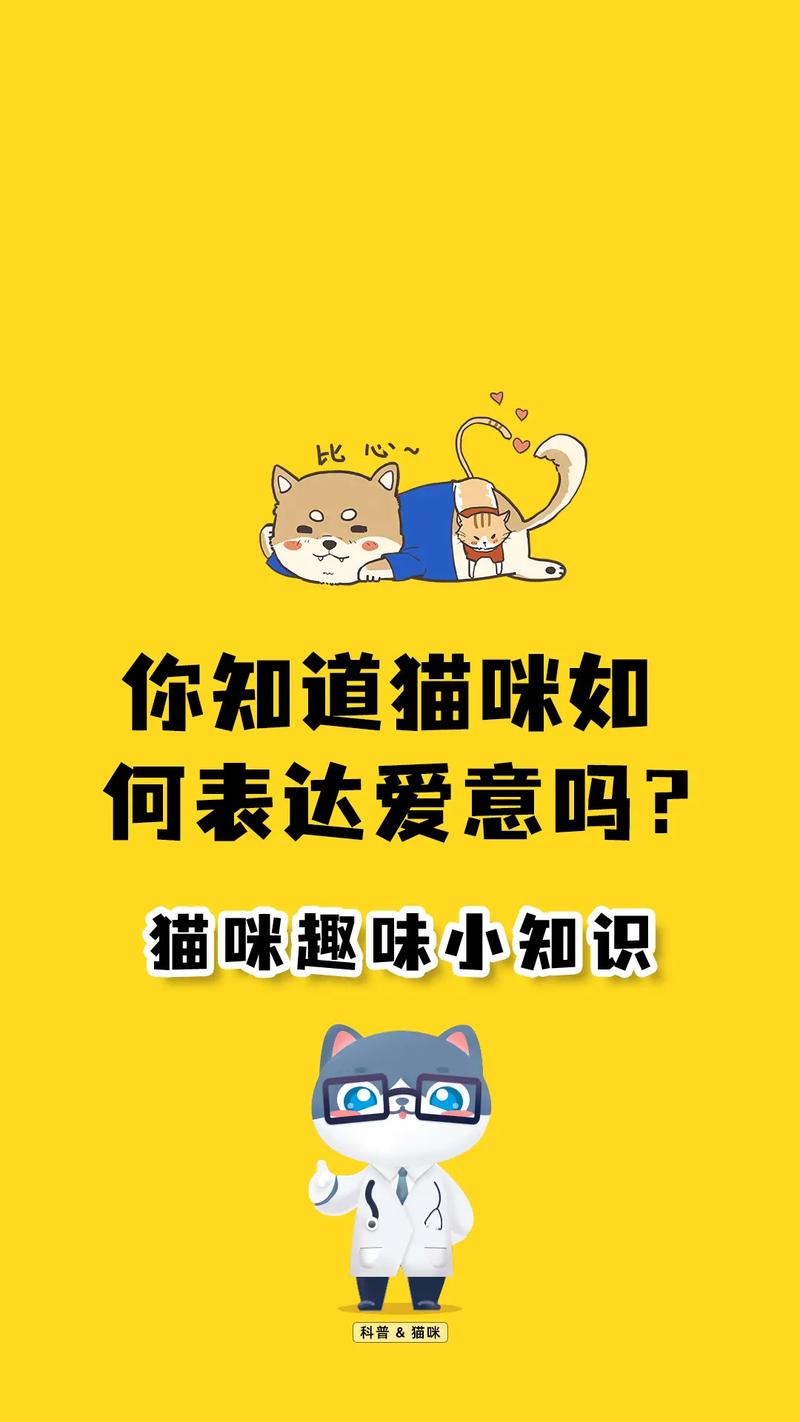 无声的守护，猫咪间的默契与爱意