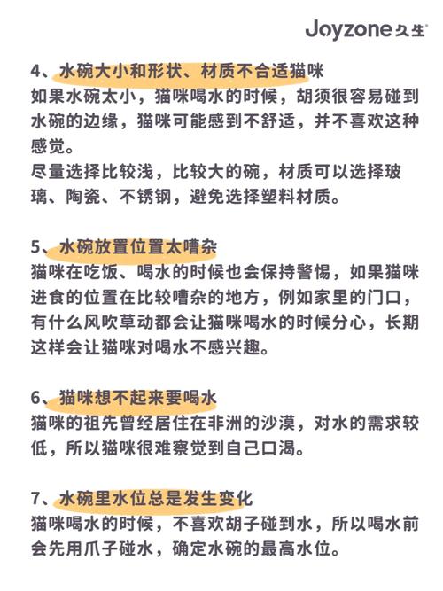 如何优雅地与猫咪共舞，避免被咬的秘籍