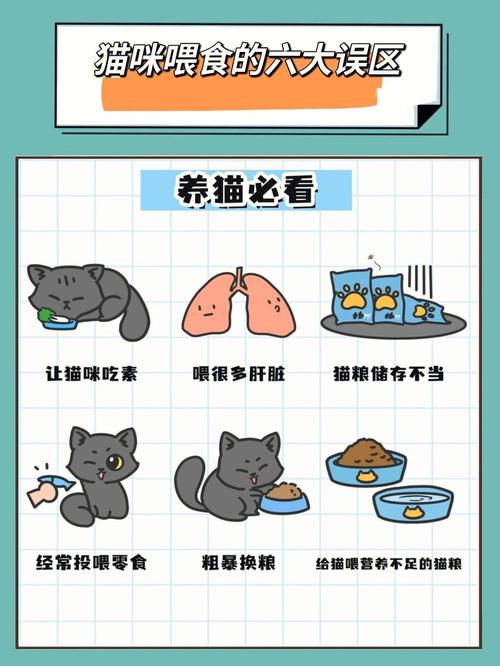 猫咪为何打完针后不再会走路？揭秘宠物健康中的误区