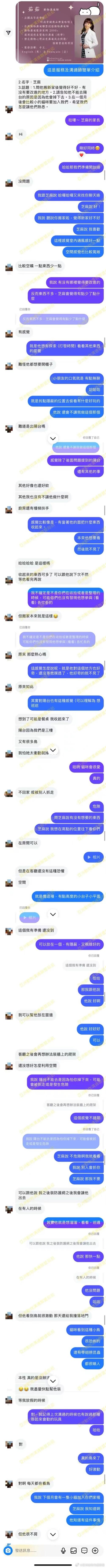 接纳新成员，猫咪适应新同伴的时间表