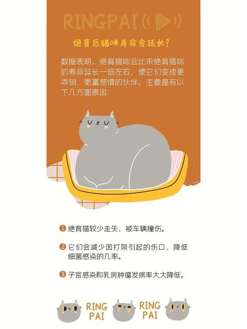 猫咪绝育骗局，如何识破那些看似温柔的陷阱