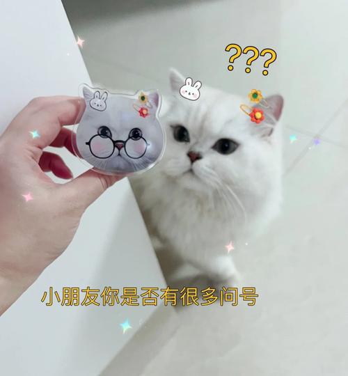 猫咪是否真的记仇？揭秘猫咪的记忆与行为模式