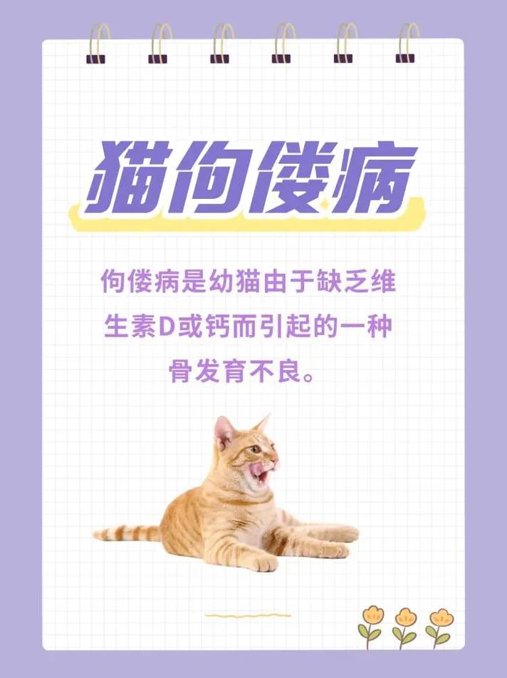 揭秘猫咪疥癣，病因、症状与防治